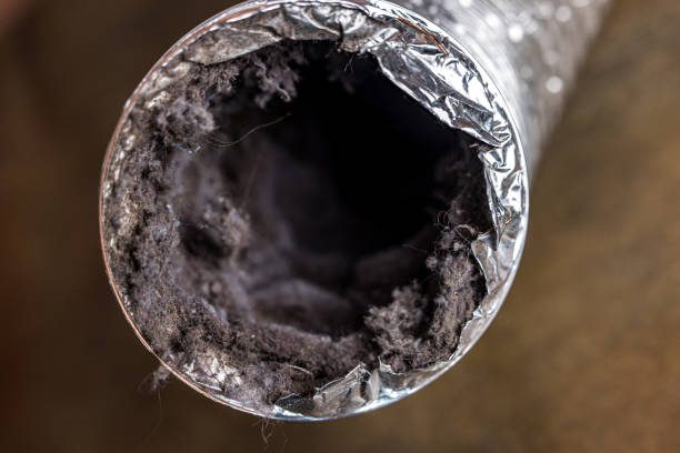 Best Professional Duct Cleaning Services  in Simonton Lake, IN